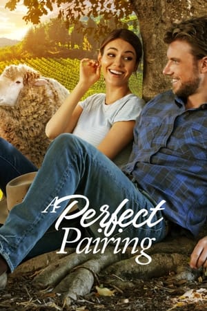 A Perfect Pairing (2022) Hindi Dual Audio HDRip 720p – 480p