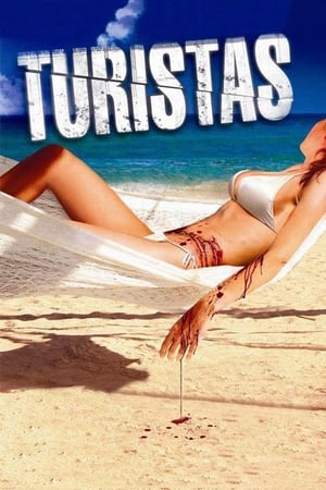 Turistas (2006) Dual Audio Hindi 480p BluRay [ESubs] 300MB